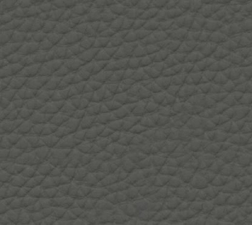 5103 · Elefante